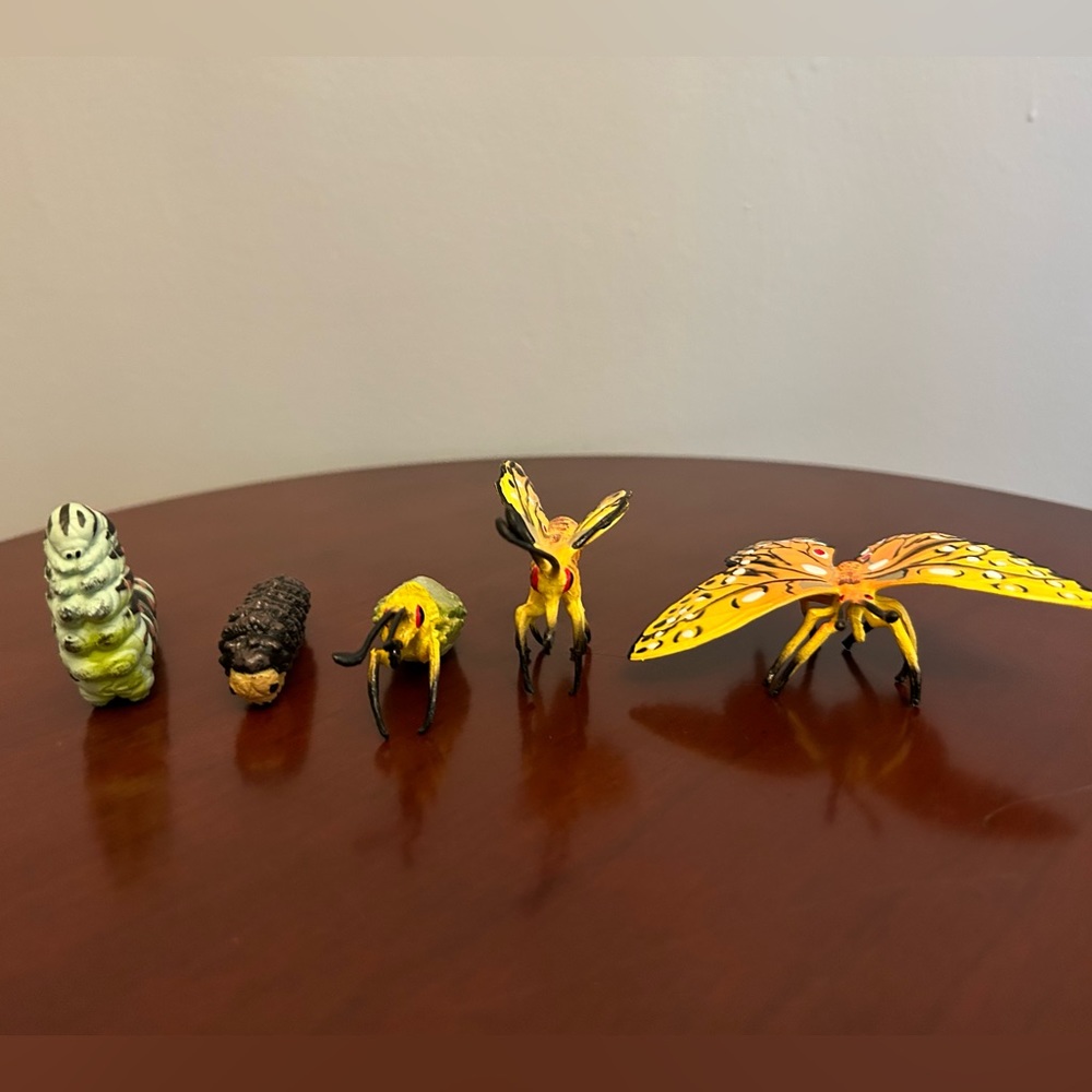 Butterfly Life Cycle 5-Piece Plastic Set
